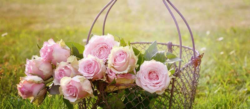 ^_ŃZbNXłonTOP3ISŃGb`0008